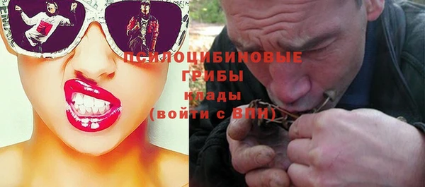 ECSTASY Абаза