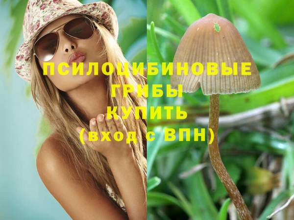 амфетамин Гвардейск