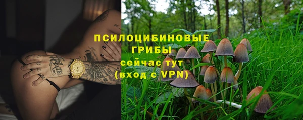 ECSTASY Абаза